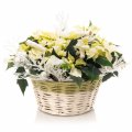 Christmas White Basket