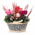 Christmas plant Basket