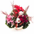 Christmas plant Basket