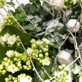 Kalanchoe and Ivy basket